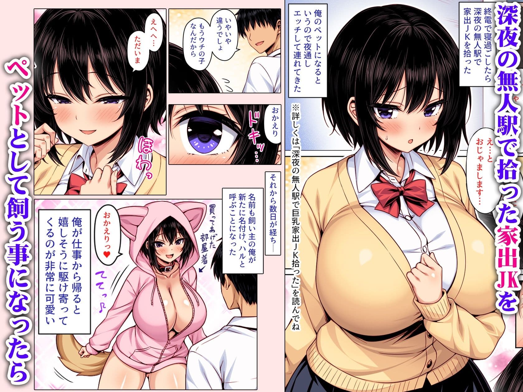 深夜の無人駅で拾った巨乳家出JKの飼い主の日常 カラー版 サンプル 1