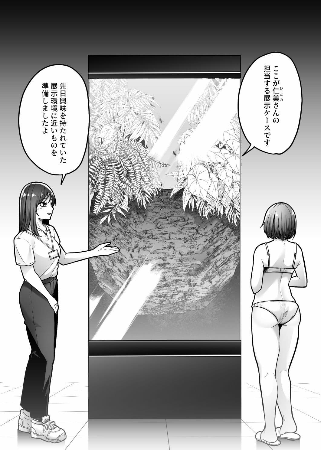昆虫館 サンプル 3