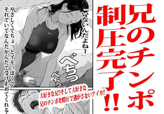妹と久々に再会したので流れでテントの中でヤった。 サンプル 8