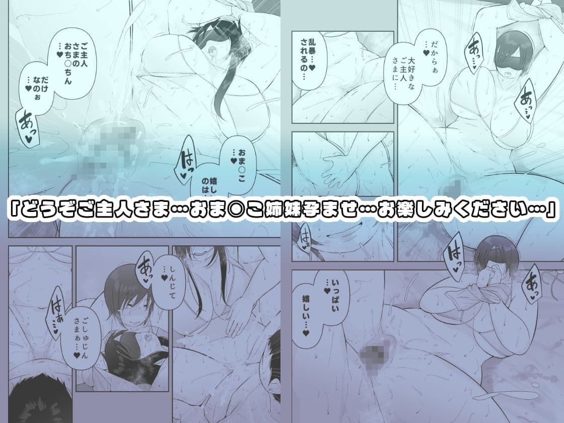 妻と義妹、孕ませ希望。 サンプル 4