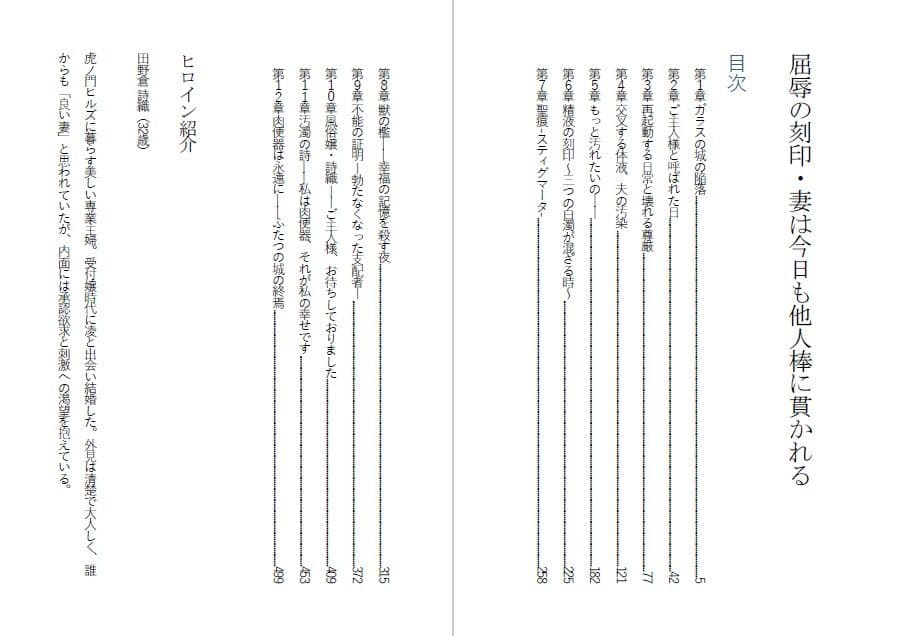 高慢な妻を堕とす・妻は今日も他人棒に貫かれる サンプル 1