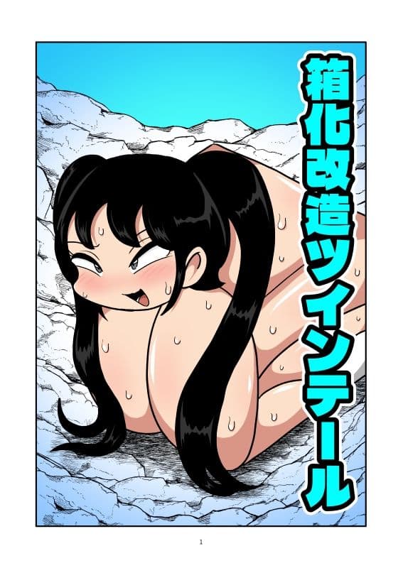箱化改造ツインテール サンプル 1