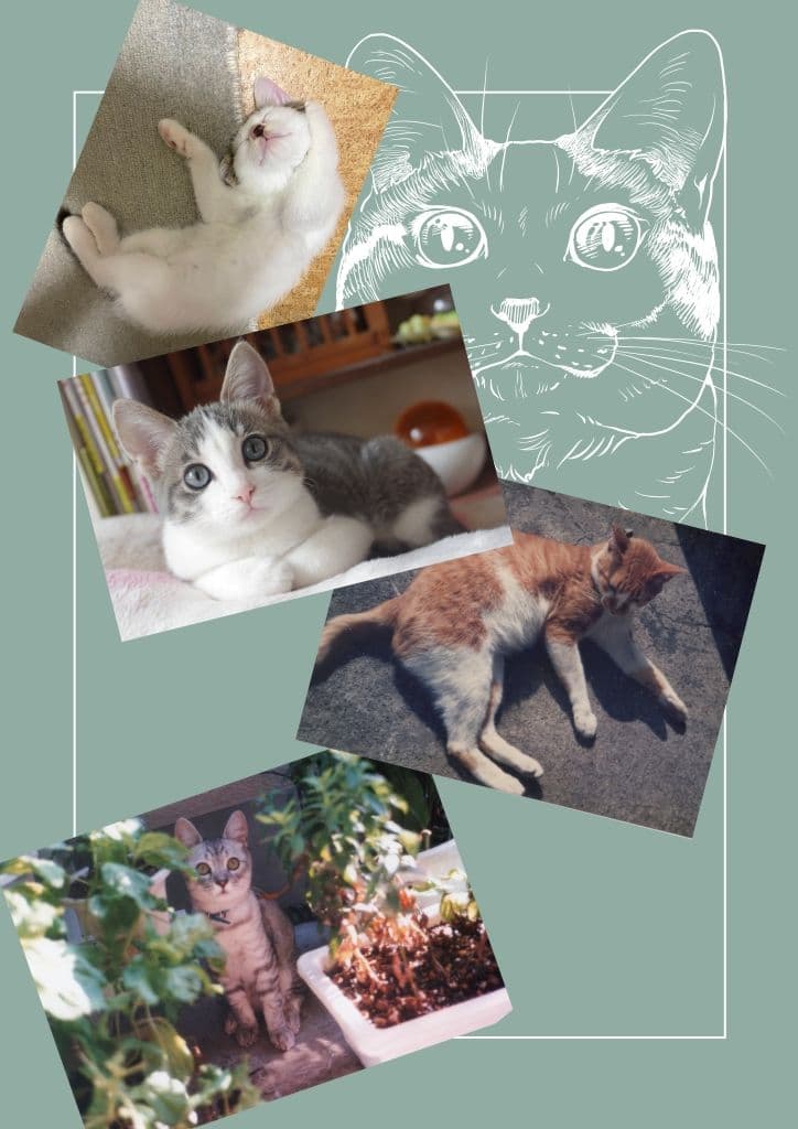 ねこのあれこれ サンプル 8
