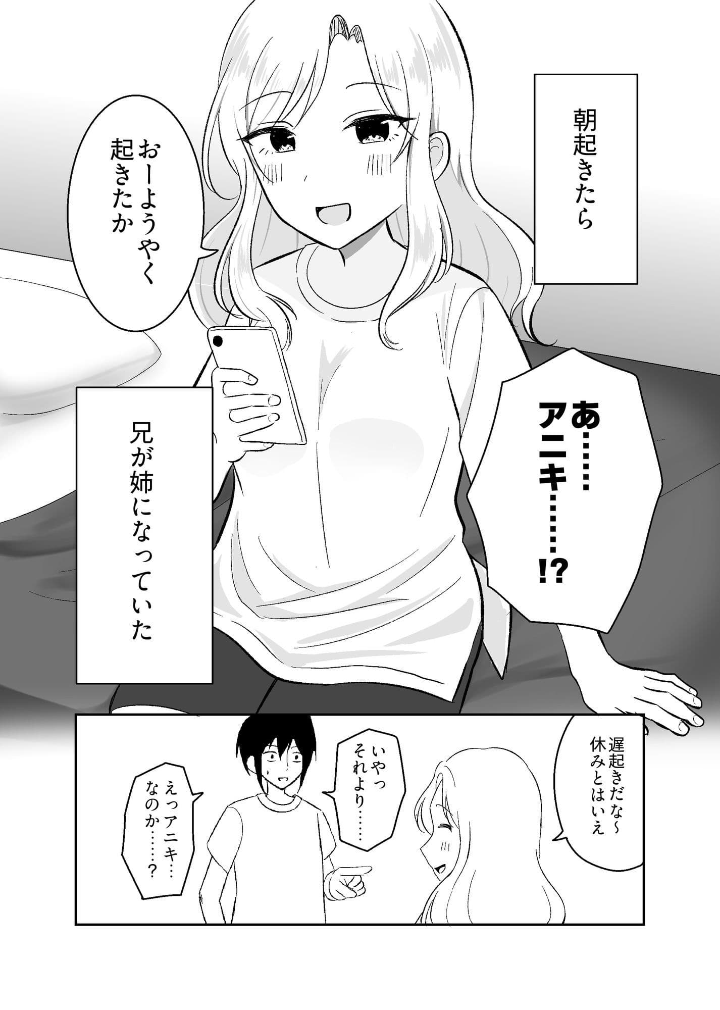 姉になった兄が誘惑してきたので サンプル 2