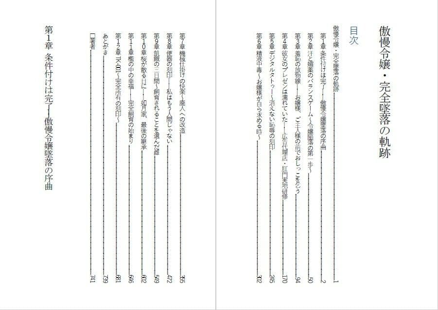 傲慢令嬢を肉便器に変える1ヶ月 サンプル 1