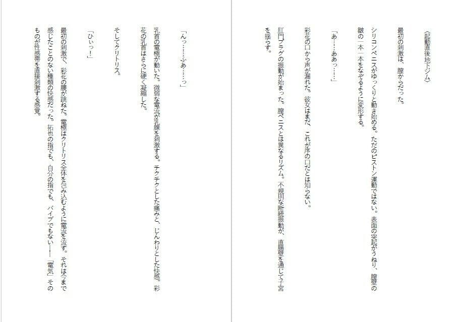 傲慢令嬢を肉便器に変える1ヶ月 サンプル 5