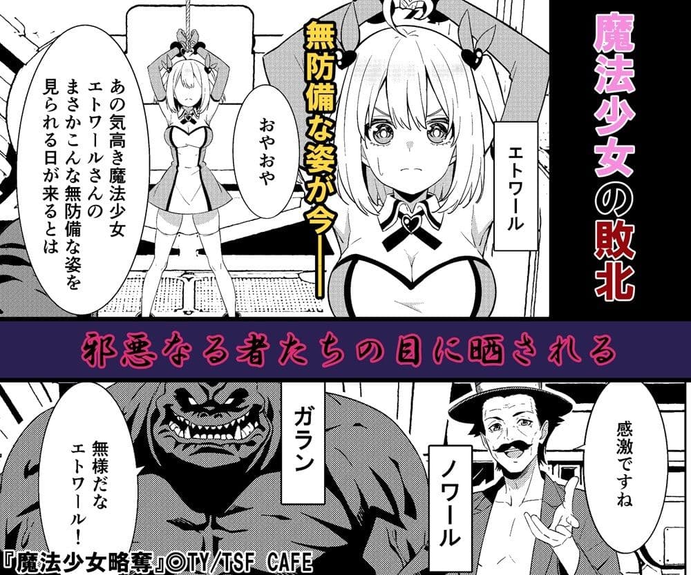 魔法少女略奪 サンプル 2