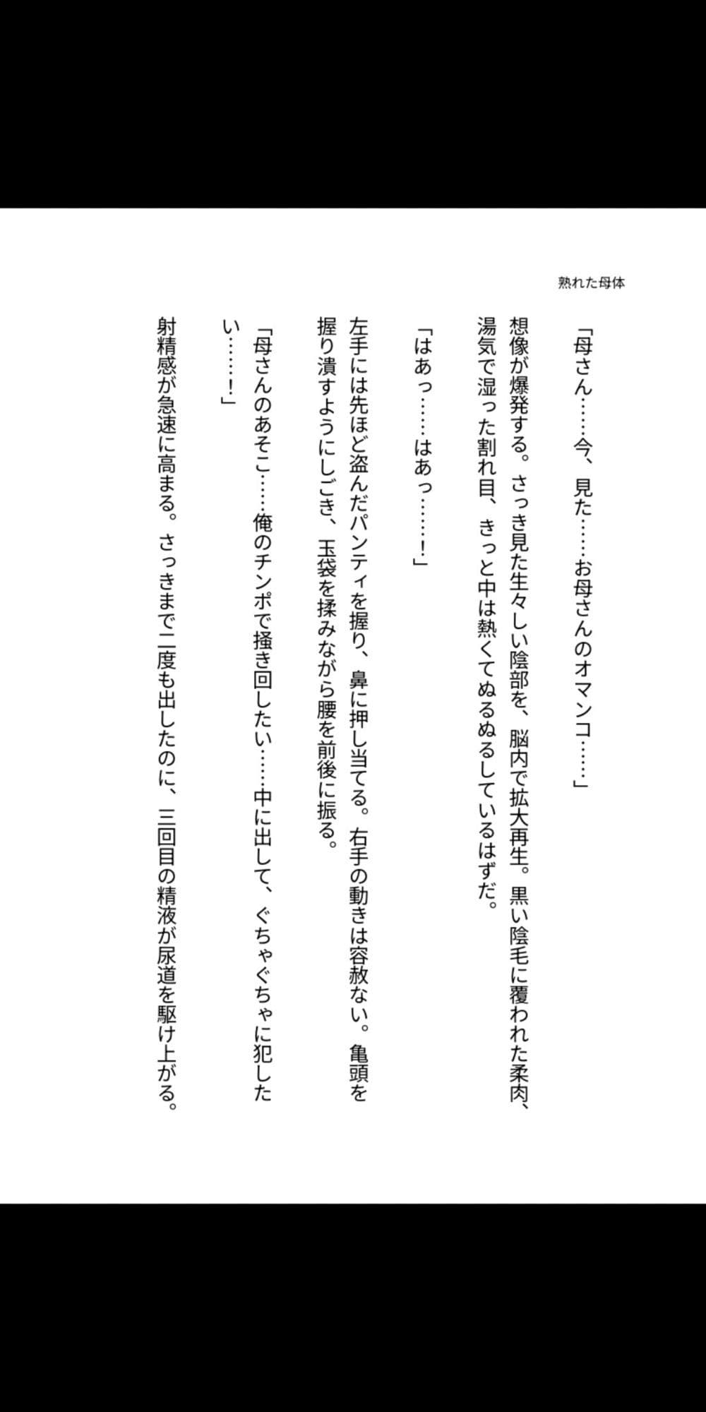 背徳の母子 〜熟れた母体に堕ちる息子の肉欲〜 サンプル 1