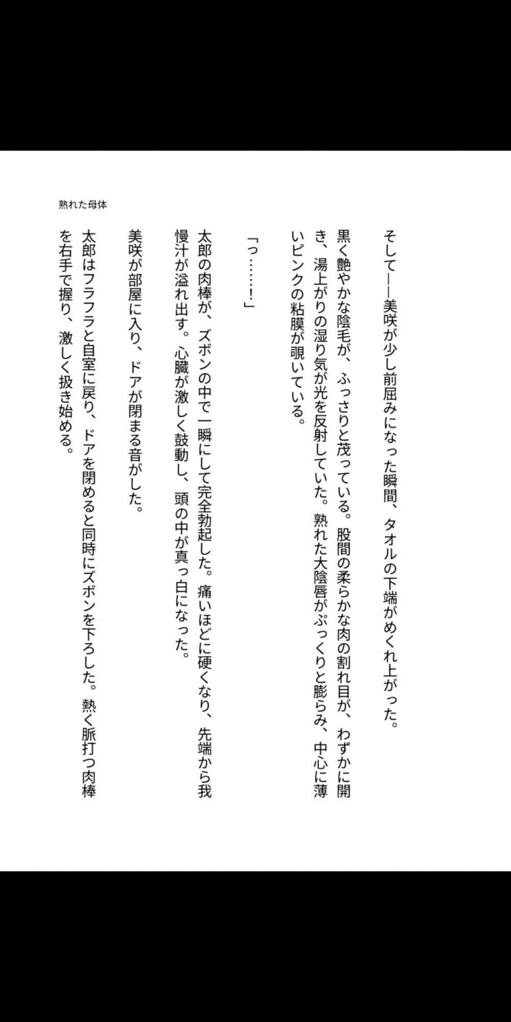 背徳の母子 〜熟れた母体に堕ちる息子の肉欲〜 サンプル 2