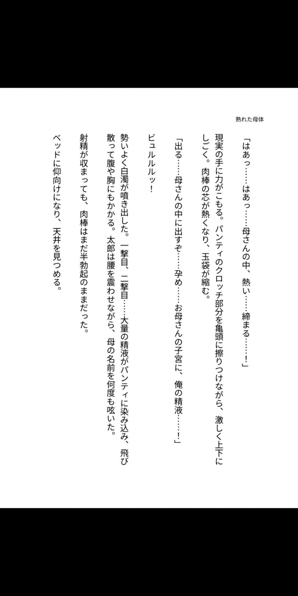 背徳の母子 〜熟れた母体に堕ちる息子の肉欲〜 サンプル 3