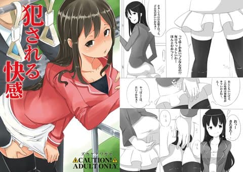 犯●れる快感