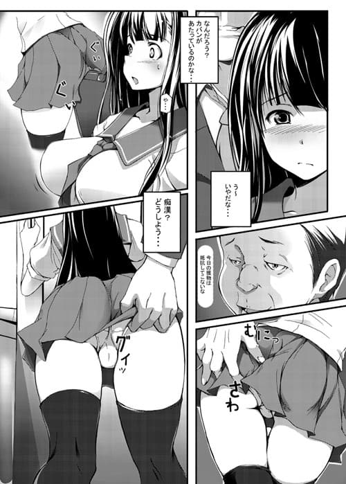 女子校生の日常的痴●電車 サンプル 2