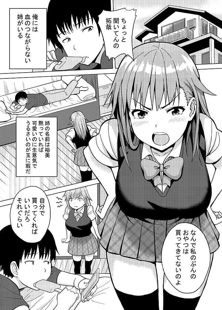 記憶を失くした義姉を恋人同士とダマして犯してみたら サンプル 1