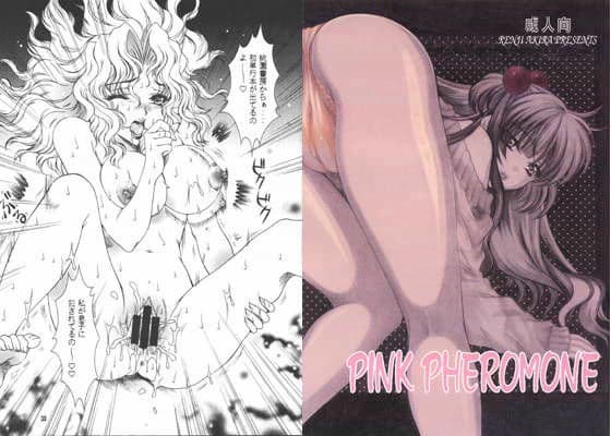 PINK PHEROMONE（ピンク フェロモン）