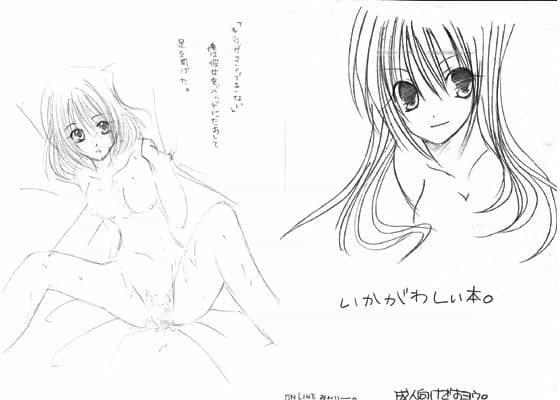 いかがわしい本。 サンプル 1