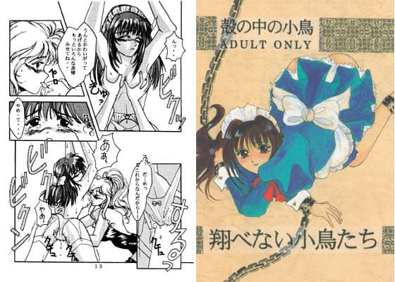 翔べない小鳥たち