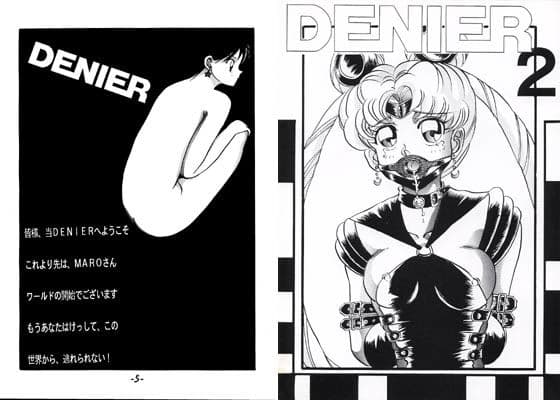 デニール 2