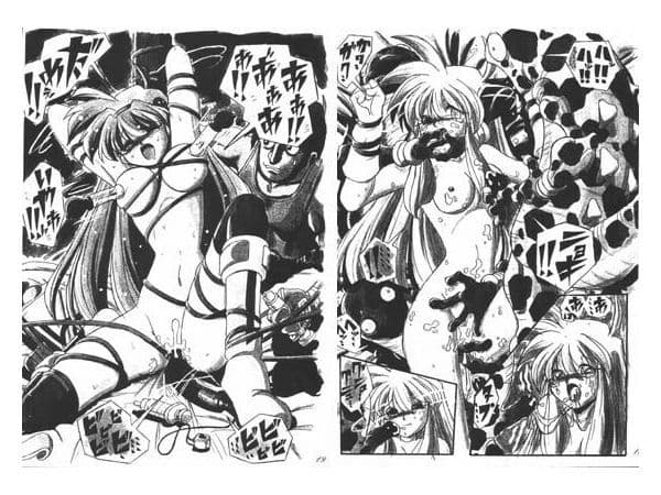 淫らなつもりで描いた本