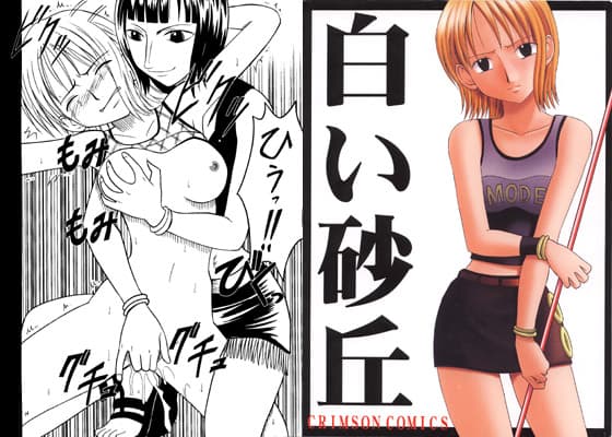 白い砂丘 サンプル 1