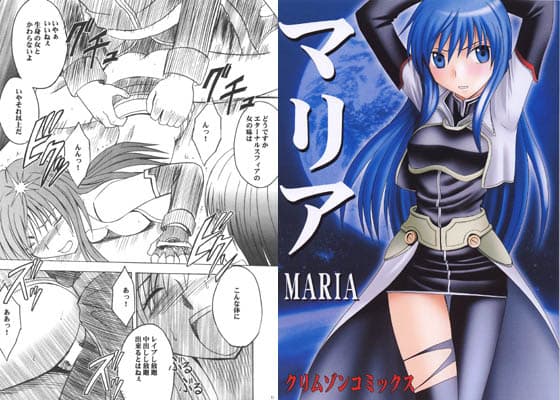 マリア サンプル 1