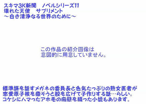 壊れた天使 サプリメント