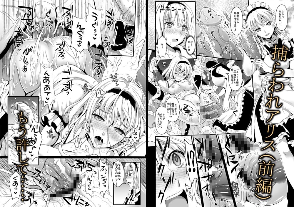 捕らわれアリス 糞肉便器(前編) サンプル 2