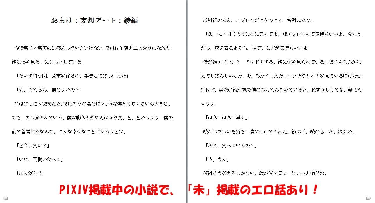 ふたドリ VOL1 サンプル 4