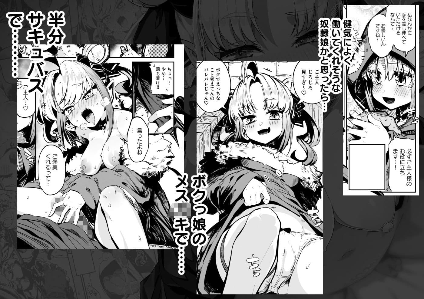 ねぇご主人 今日の「ごほうび」まだぁ? ボクッ娘メ○〇キハーフサキュバス奴○娘にごほうび生活 サンプル 1