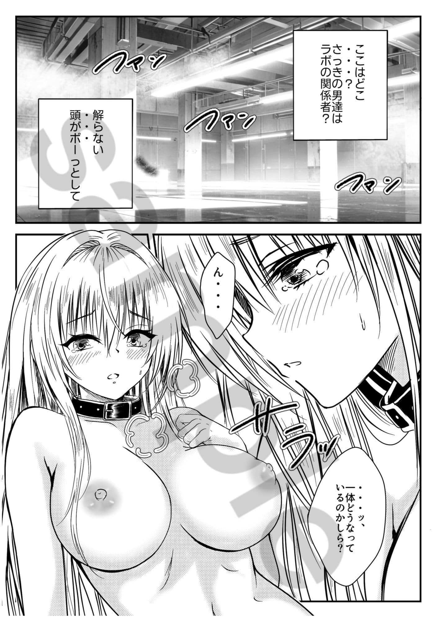 ティアーユ・ルナ●ィークファンブック『秘密の番人』 サンプル 2